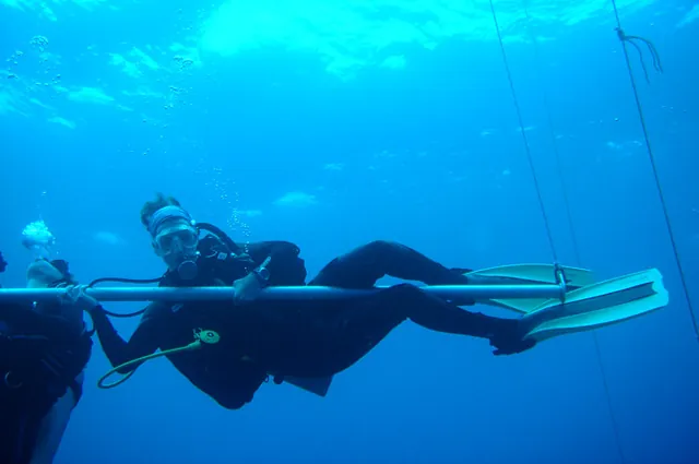 The dive boat (Cowrie) had these great safety stop bars dropped down to hang from during decompression