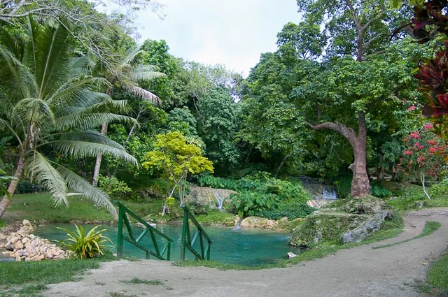The start of the walk passes through a lush tropical garden setting