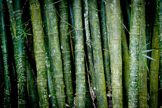 Bamboo carved with hundreds of etchings - (e.g. Gazza Luvs Shazza)