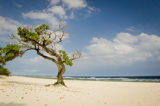 On arrival we discover this amazingly beautiful beach-front hotel setting on the south coast