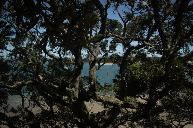 Tauranga — photograph 13