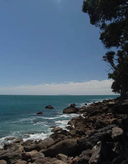 Tauranga — photograph 15