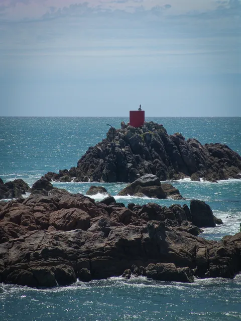 Tauranga — photograph 17