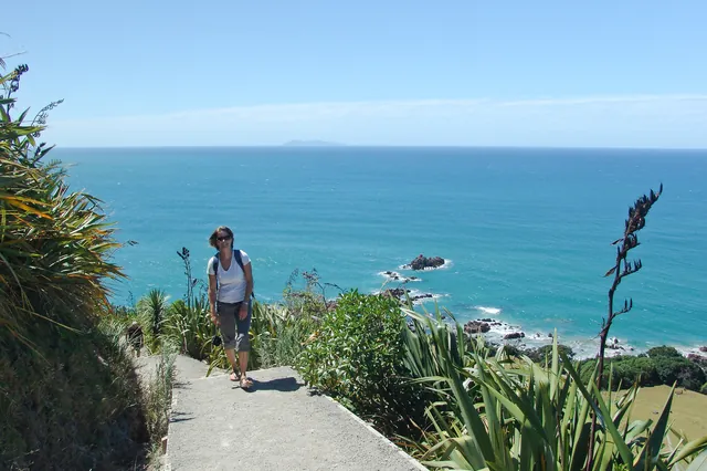 Tauranga — photograph 23