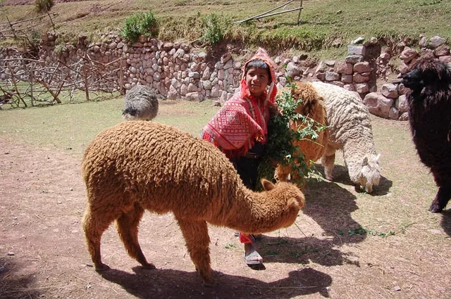 Gill was whipped into a frenzy after being told she could feed them