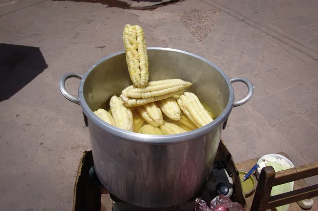 Massive corn niblets straight from the Sacred Valley