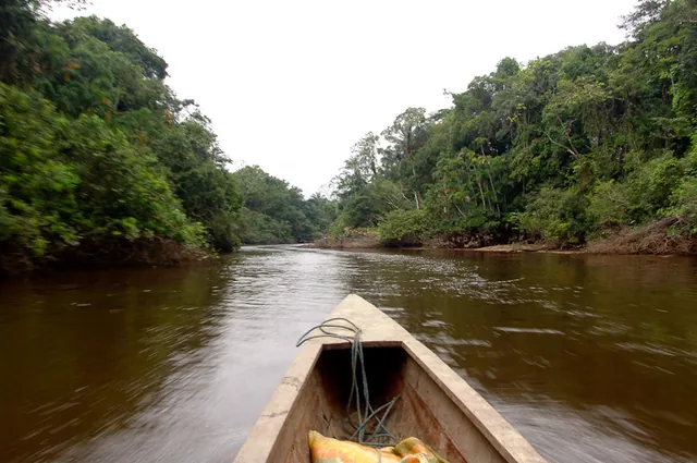 Zooming along the river. The canoes felt very unstable to start with, but as we went through the week, we got used to the feeling