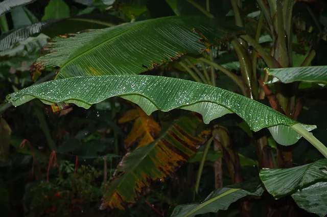 Inevitably there was rain, and when it fell, oh boy did it fall hard