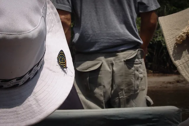 Kurt's ass spoiling a nice butterfly shot