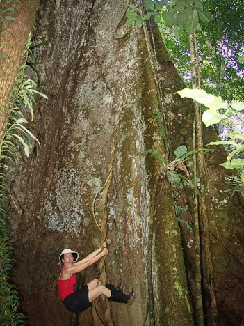 Gill swinging at the base of an enormous tree