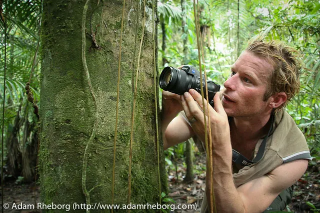 Getting sharp close up pictures in the humidity and insects biting you was a challenge