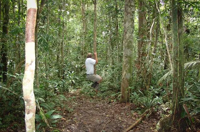 Kurt leading the way to show us the strength of the vine