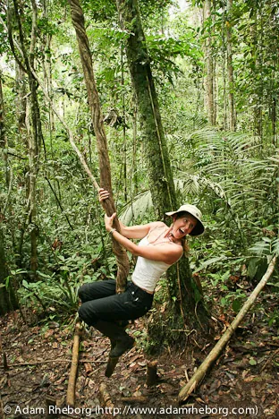 Gill giving it some serious Tarzan vine swinging