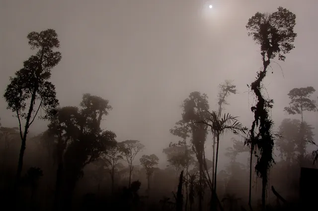 Some very eery views as you pass into the cloud level elevations