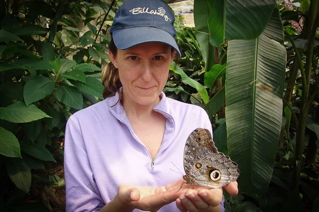Mindo Butterfly Farm — photograph 20