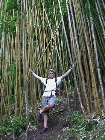 Bamboo central