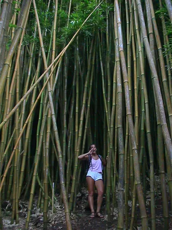 Maui — photograph 14