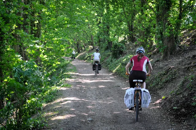 South Downs Way — photograph 100