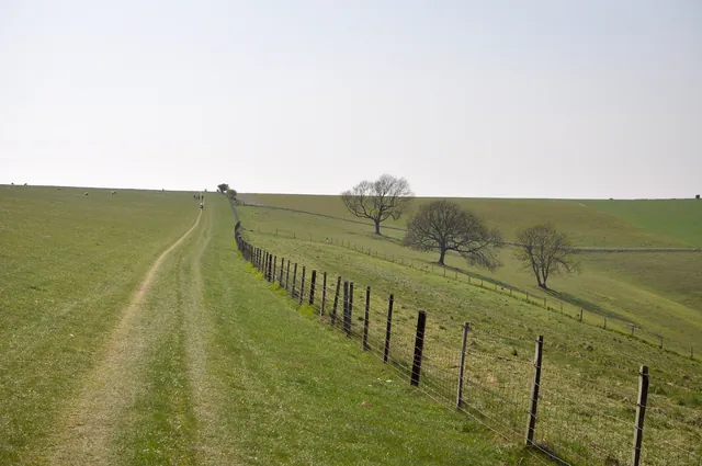 The long trek across Annington Hill