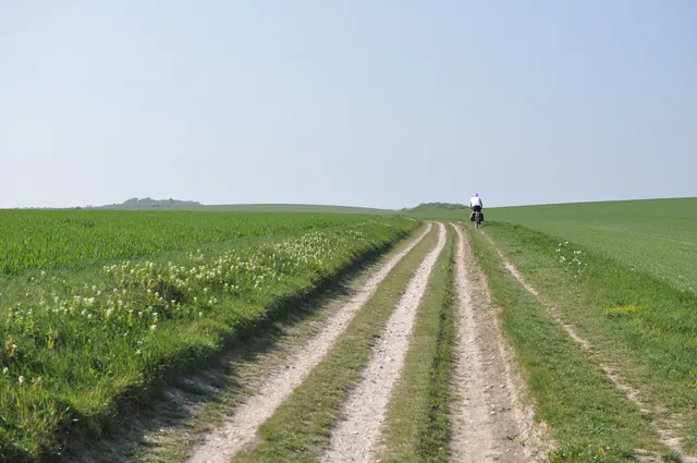 South Downs Way — photograph 104
