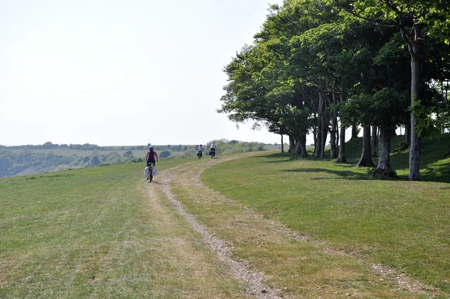 Loved this section on the tops of the downs