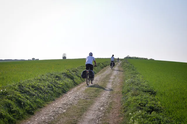 South Downs Way — photograph 108