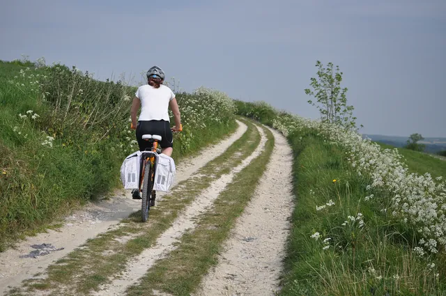 South Downs Way — photograph 113