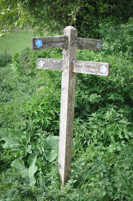 South Downs Way — photograph 117