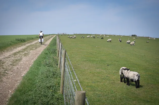 South Downs Way — photograph 121