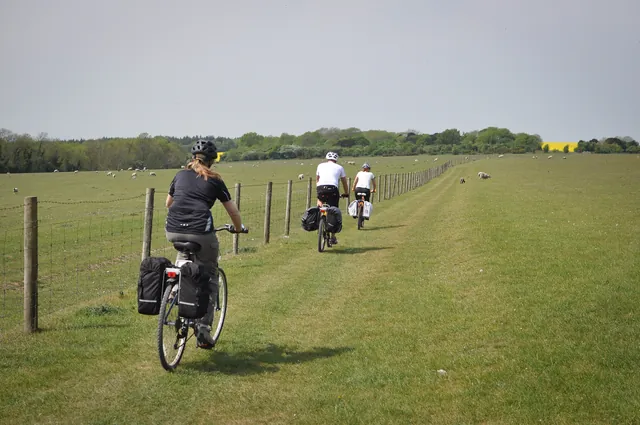 South Downs Way — photograph 124
