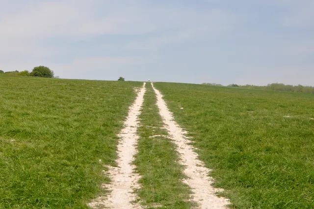 South Downs Way — photograph 125