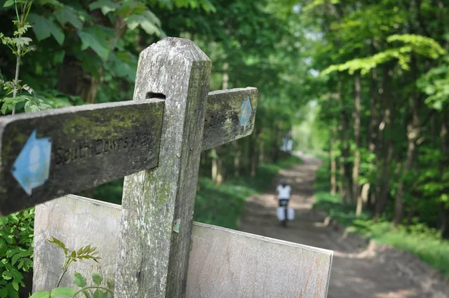 South Downs Way — photograph 127