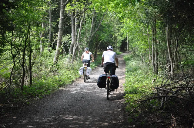 The views transform into woodland tracks from this point forward