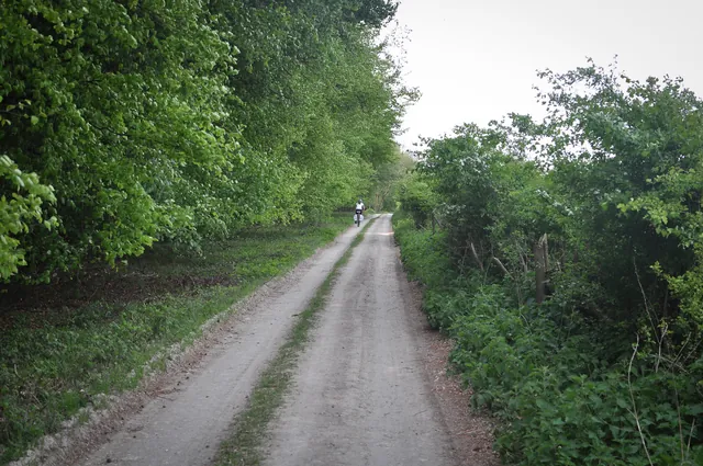 South Downs Way — photograph 130