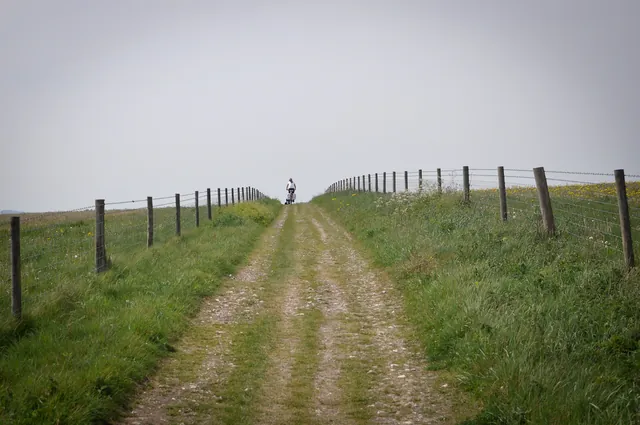 South Downs Way — photograph 134