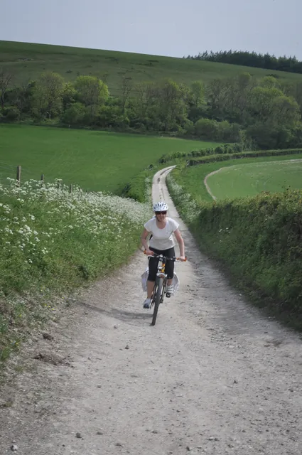 South Downs Way — photograph 138
