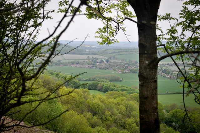 Looking down on the very pretty village of South Harting