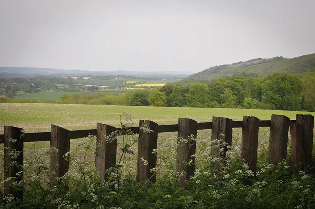 South Downs Way — photograph 142