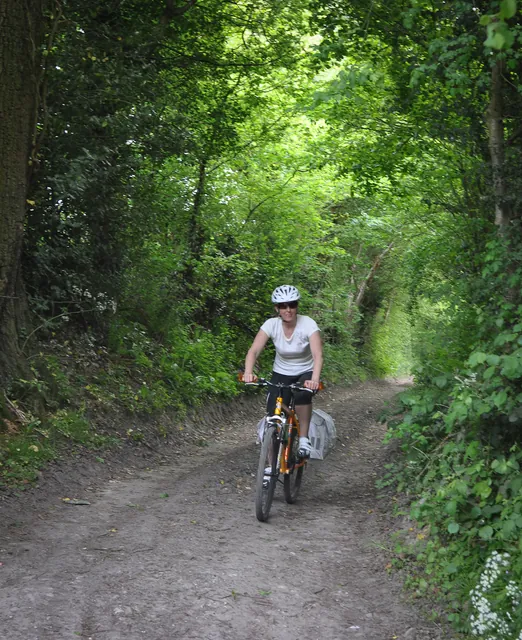 South Downs Way — photograph 143