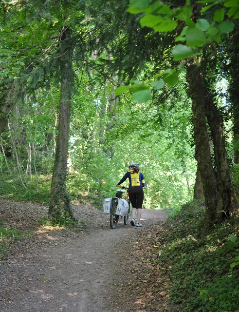 As usual for the SDW, a steep climb out early morning (not what you want with caffeine levels so low!)