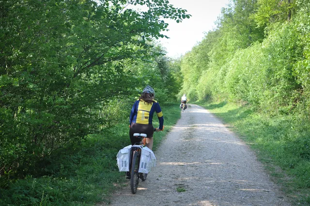 Climbing up to the back of Queen Elizabeth Country Park
