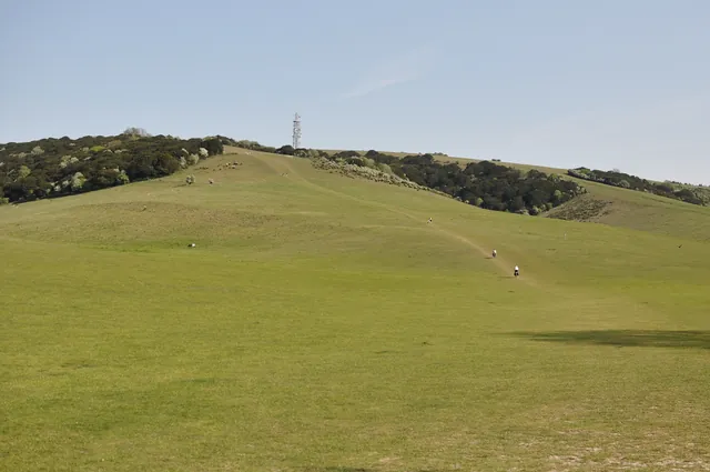 Looking up from the bottom of Butser Hill