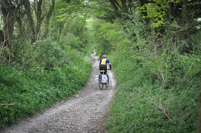 South Downs Way — photograph 160