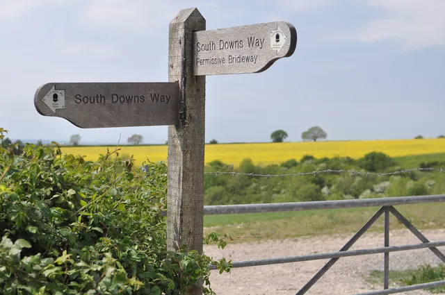 South Downs Way — photograph 167