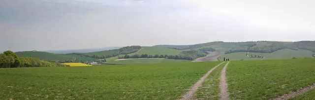 South Downs Way — photograph 182