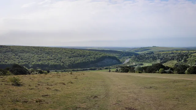 Butser Hill panorama looking down at QE Park and the A3