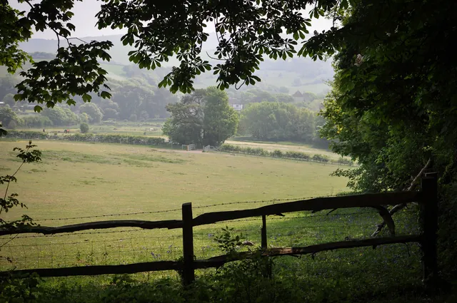 Looking back at the church views. Not the right weather for an idyllic shot, but a quintessential SDW view nonetheless