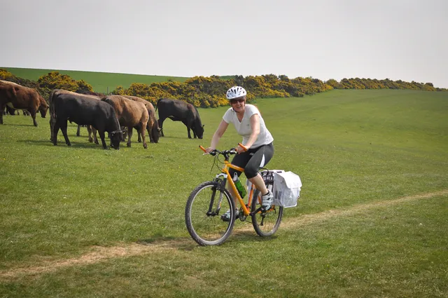 The bridleway passes through many farm fields so you share the track plenty of cows and sheep