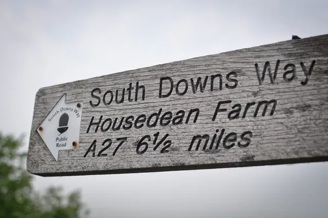 South Downs Way — photograph 41