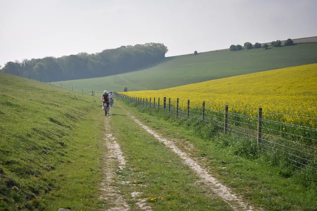 The footpath follows up through the rapeseed oil field, but it was too thick to contemplate with bikes so we followed a nearby farm track